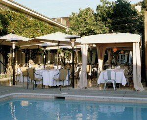 Fig Tree Courtyard